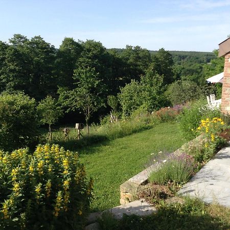 Le Ru Du Passage Villa Sart-lez-Spa Exteriör bild